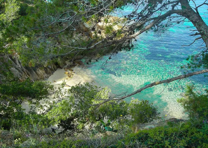 Select'sohome - Joli Avec Magnifique Vue Sur La Pour 4 Personnes !- Timelto Apartman Le Lavandou